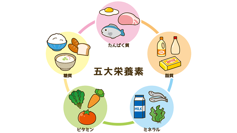 〇〇でしか取れない栄養がある